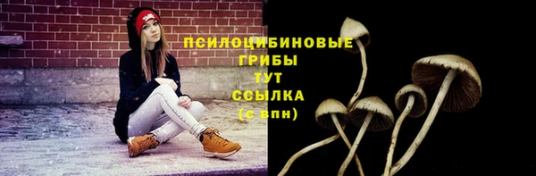 не бодяженный Каменка